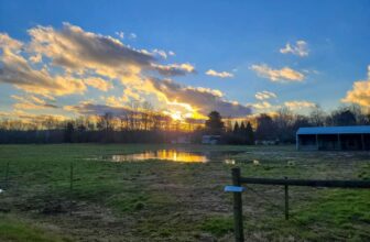 The Little Issues Publication #347 – Life, laughter, and many nice meals!