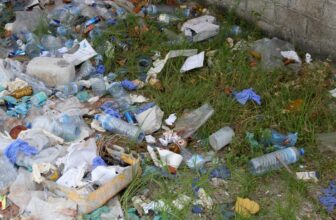 Scientists Discover Microplastics in Human and Canine Testicles