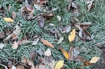 The right way to Beat the Winter Blues… — Estée Lalonde